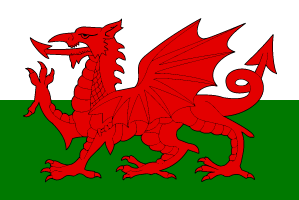 wales euro cup flag
