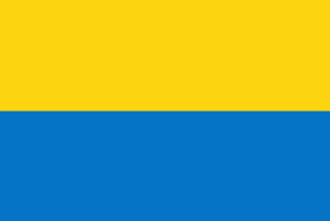 Ukraine euro cup flag
