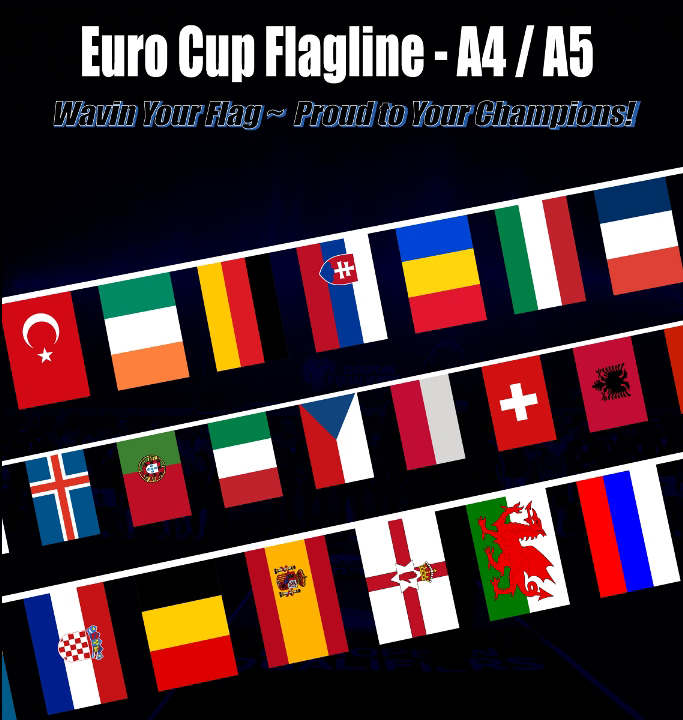 FRANCE UEFA EURO CUP 2016 Flagline Flag Buntings