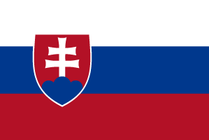 slovakia euro cup flag